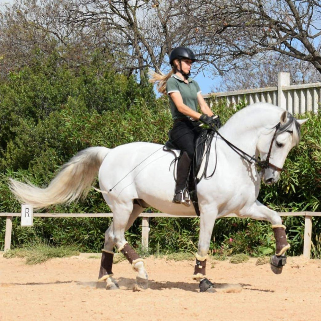 Protectores EquiEssence®