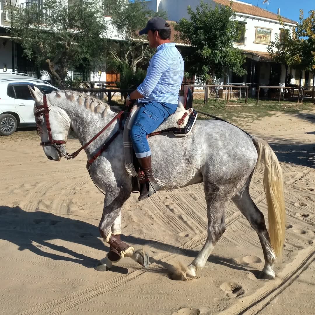 ✔︎ Fran Pacheco.